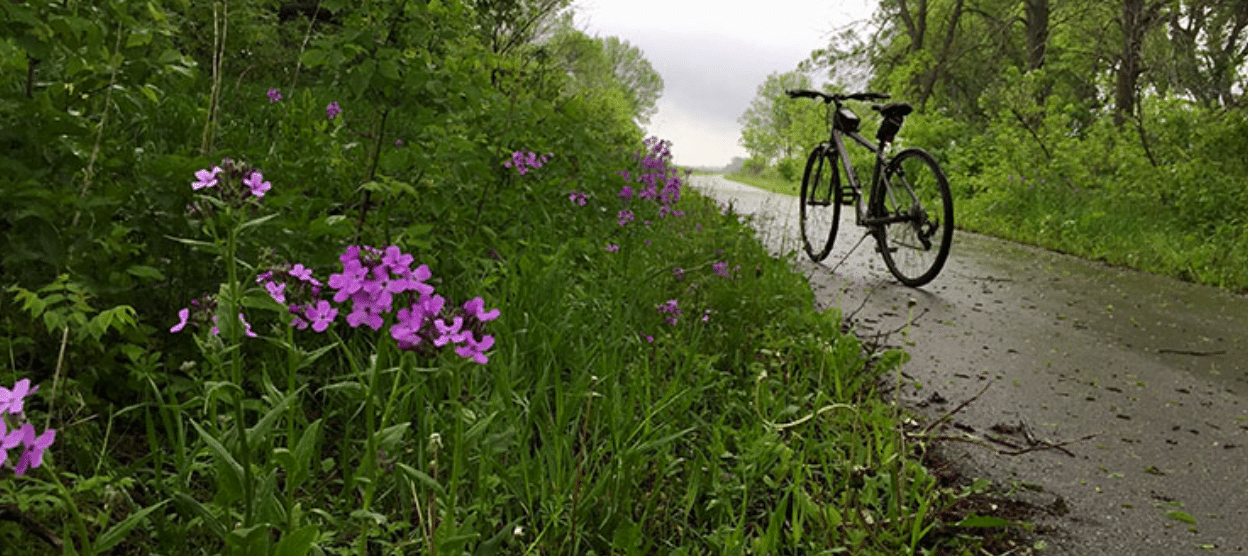 Casey Jones Trail Photo of Bilke from MN DNR